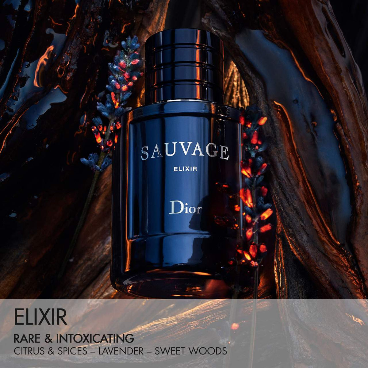 Spiced Aromatic Fragrance