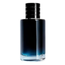 Spiced Aromatic Parfum
